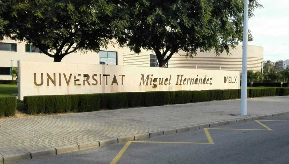 Acceso al campus de Elche de la Universidad Miguel Hernández.