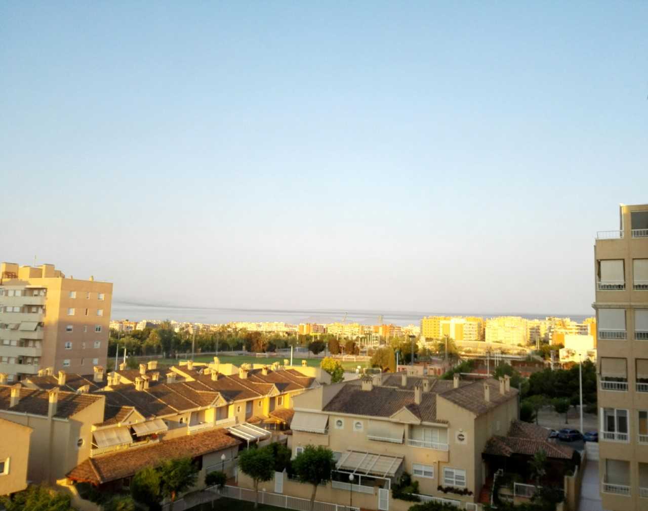 El viento se moderará en Elche con cielos despejados durante el día y posibles precipitaciones a última hora El viento se moderará en Elche con cielos despejados durante el día y posibles precipitaciones a última hora