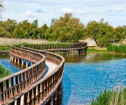 Las Tablas de Daimiel alcanzan las 623 hectáreas inundadas Las Tablas de Daimiel alcanzan las 623 hectáreas inundadas