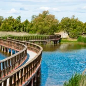Tablas de Daimiel Tablas de Daimiel