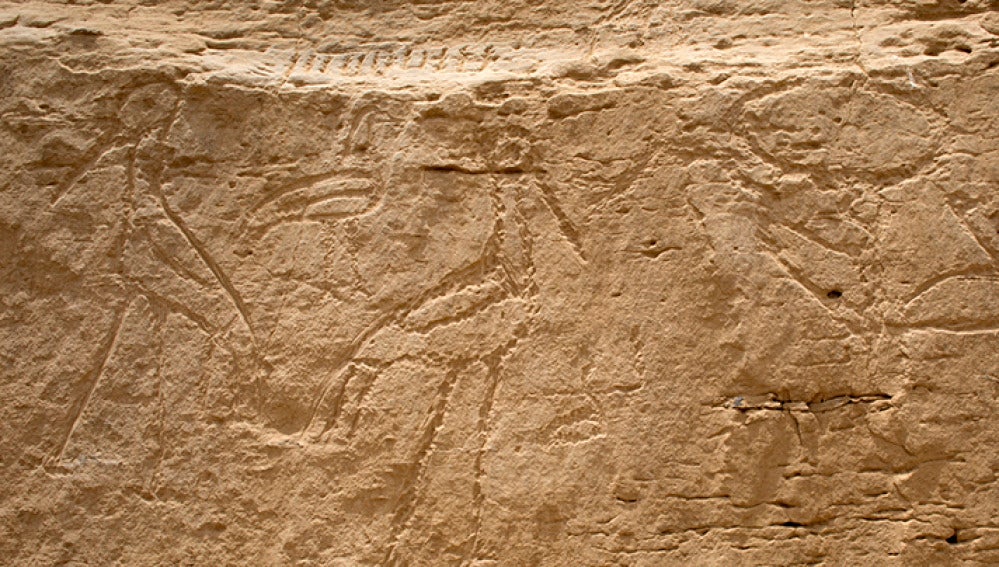 Los jeroglíficos hallados por arqueólogos de la Universidad de Yale