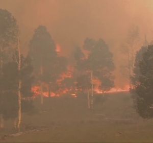 Un incendio forestal en Utah provoca la evacuación de los residentes de la zona Un incendio forestal en Utah provoca la evacuación de los residentes de la zona