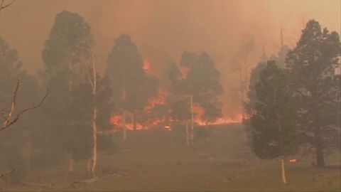 Un incendio forestal en Utah provoca la evacuaci&oacute;n de los residentes de la zona