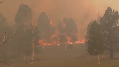 Un incendio forestal en Utah provoca la evacuación de los residentes de la zona Un incendio forestal en Utah provoca la evacuación de los residentes de la zona