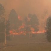 Un incendio forestal en Utah provoca la evacuación de los residentes de la zona