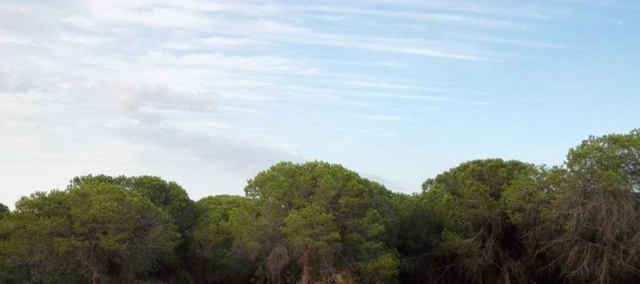 Cielos despejados Cielos despejados