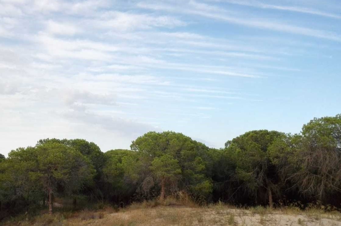 Este viernes, tiempo estable en la mayor parte de España salvo en el extremo norte Este viernes, tiempo estable en la mayor parte de España salvo en el extremo norte