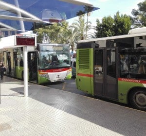 Autobuses en una parada de Elche. Autobuses en una parada de Elche.