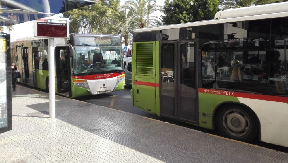 Autobuses en una parada de Elche.