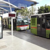 Autobuses en una parada de Elche. Autobuses en una parada de Elche.