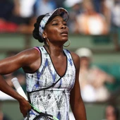 Venus Williams Venus Williams