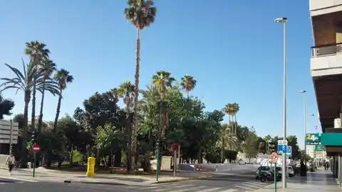 Elche. Elche.