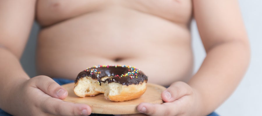Hallados nuevos genes involucrados en la obesidad infantil Hallados nuevos genes involucrados en la obesidad infantil