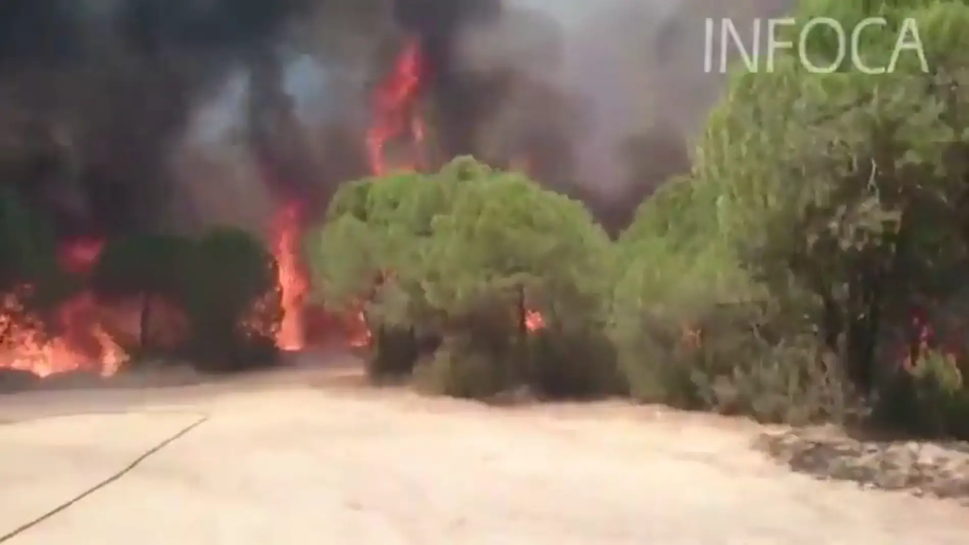 Incendio forestal en Riotinto que obliga a desalojar algunas viviendas