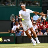 Federer ejecuta un golpe ante Alexandr Dolgopolov 