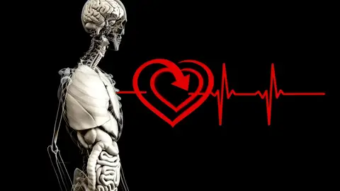 Al contrario de lo que se cree, las emociones no están en el corazón Al contrario de lo que se cree, las emociones no están en el corazón