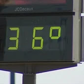 Un termómetro marca 36 grados. Un termómetro marca 36 grados.