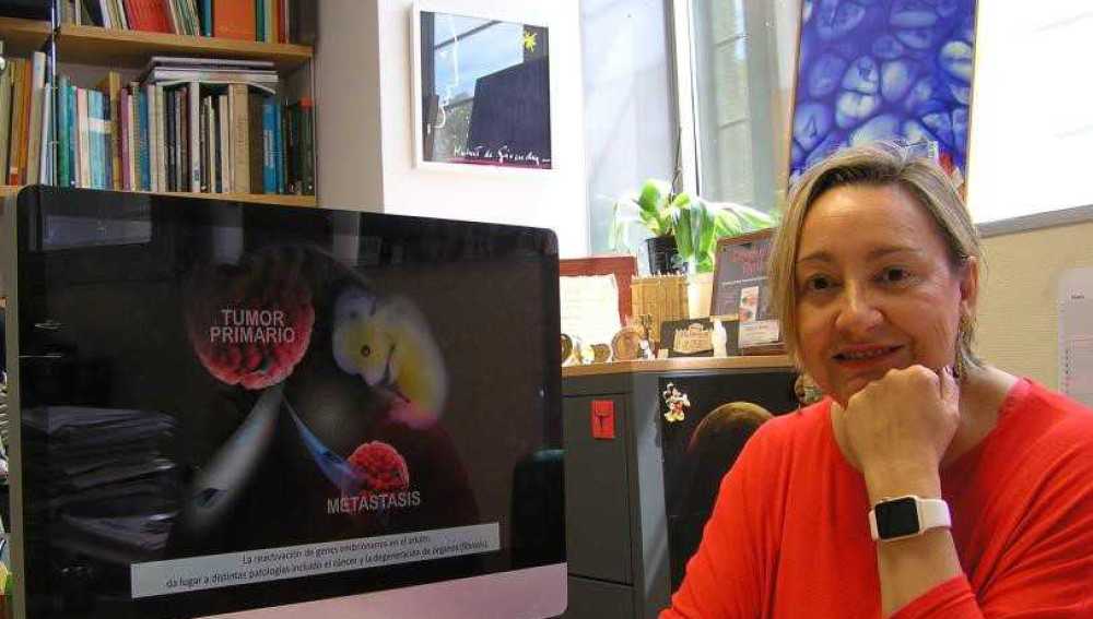 Ángela Nieto, investigadora del Instituto de Neurociencias de la UMH