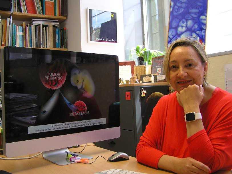 La Asociación Española de Investigación sobre el Cáncer reconoce la trayectoria científica de Ángela Nieto La Asociación Española de Investigación sobre el Cáncer reconoce la trayectoria científica de Ángela Nieto