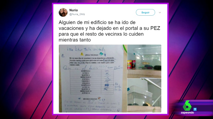 Oyentes: "Me dejaron un loro muerto y lo cambié por uno vivo pensando que había sido mi culpa" Oyentes: "Me dejaron un loro muerto y lo cambié por uno vivo pensando que había sido mi culpa"