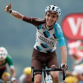 Bardet Bardet