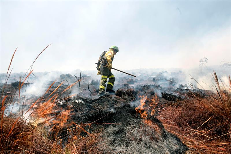 Extinguido el incendio forestal declarado en el paraje de la Alhambra Extinguido el incendio forestal declarado en el paraje de la Alhambra