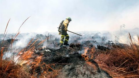 Un bombero trabaja en la extinci&oacute;n del incendio en el paraje de la Alhambra (Granada)