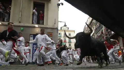 Séptimo encierro | San Fermín 2017 Los toros de Núñez del Cuvillo a su paso por la curva Mercaderes en el penúltimo encierro de las fiestas de San Fermín 2017.