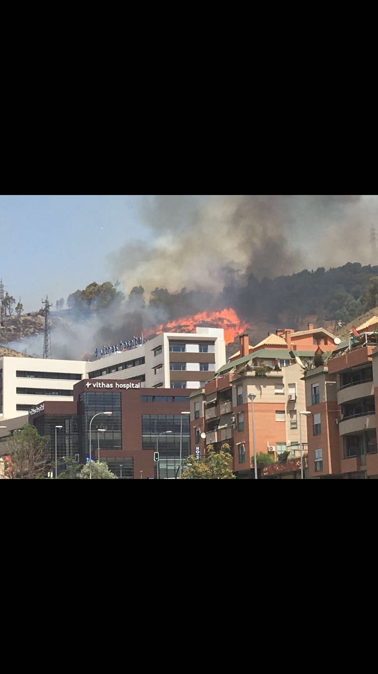 Declaran estabilizado el incendio en el paraje de la Alhambra Declaran estabilizado el incendio en el paraje de la Alhambra
