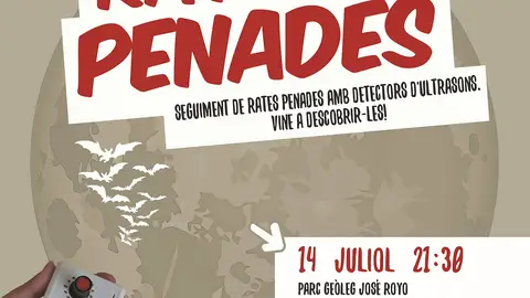 El Ayuntamiento de Castellón y la Fundación Limne organizan "La Nit de les rates penades" dirigida a los ciudadanos de la provincia Castellón