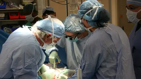 España lidera la lucha global contra el tráfico de órganos ante la ONU España lidera la lucha global contra el tráfico de órganos ante la ONU