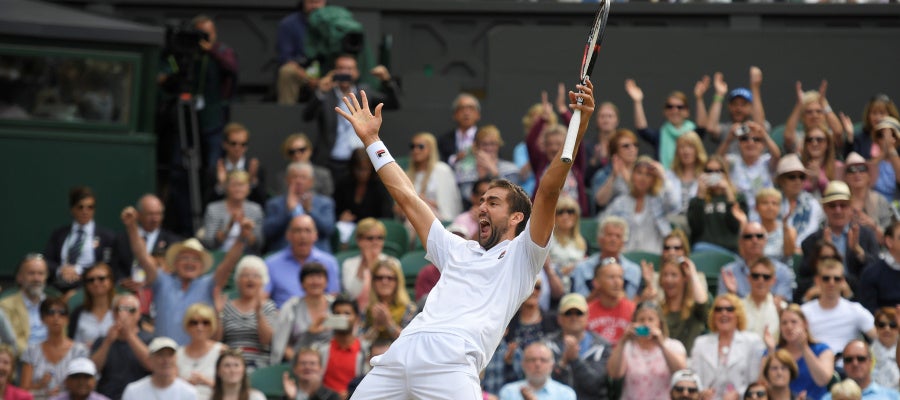 Cilic celebra su pase a la final de Wimbledon Cilic celebra su pase a la final de Wimbledon