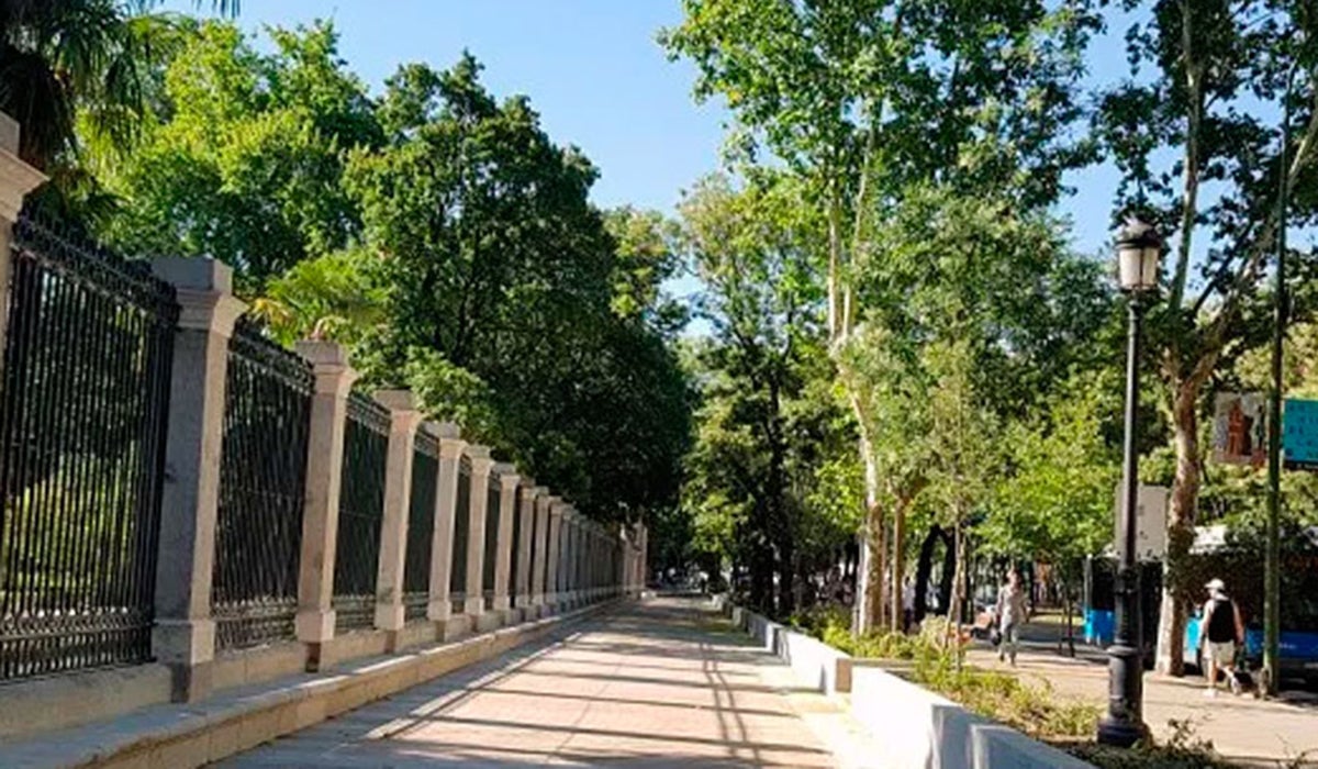 Reabren el recorrido peatonal aledaño al Jardín Botánico en el Paseo del Prado Reabren el recorrido peatonal aledaño al Jardín Botánico en el Paseo del Prado