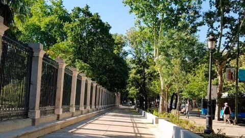 Recorrido peatonal del Jard&iacute;n Bot&aacute;nico de Madrid
