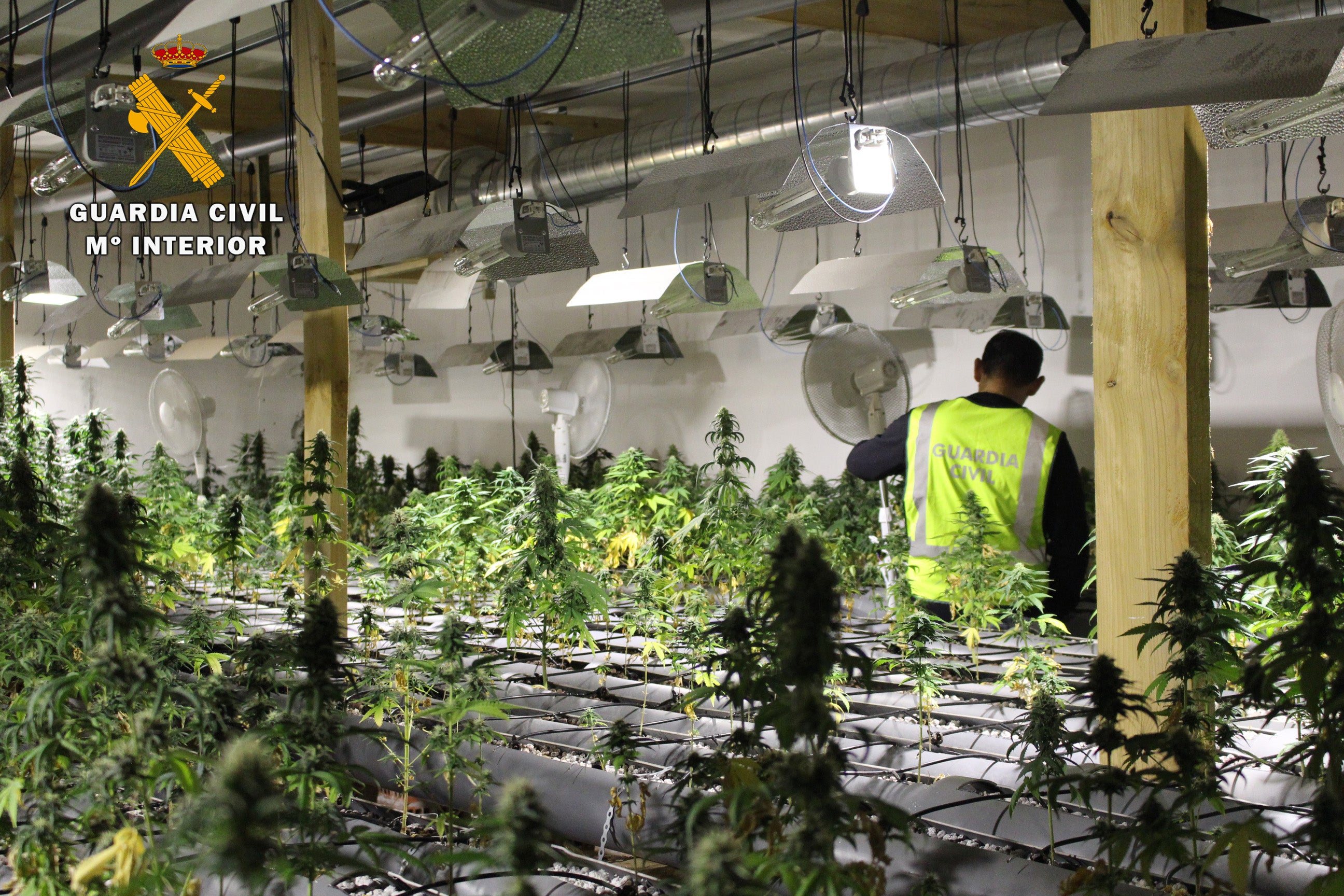 8 detenidos en Alicante en una operación contra el narcotráfico 8 detenidos en Alicante en una operación contra el narcotráfico