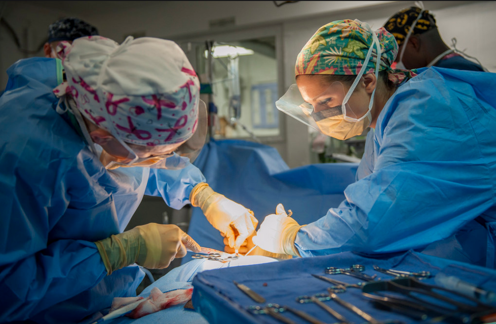 Detienen a una mujer que se operó la cara para huir de la Justicia Detienen a una mujer que se operó la cara para huir de la Justicia