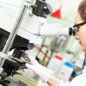 La inversion en I D del sector de la biotecnologia crecio un 8 31