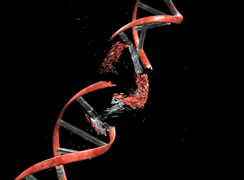 Cosas de la vida: La evolución del cáncer Cosas de la vida: La evolución del cáncer