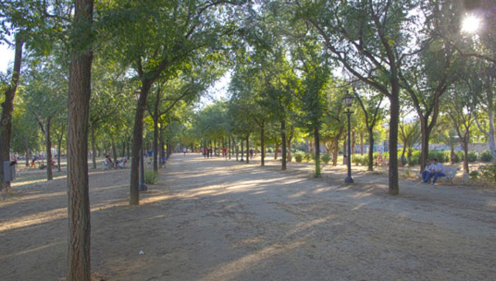 Parque Amate de Sevilla