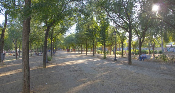 La mujer hallada en un parque de Sevilla fue asfixiada antes de ser quemada La mujer hallada en un parque de Sevilla fue asfixiada antes de ser quemada