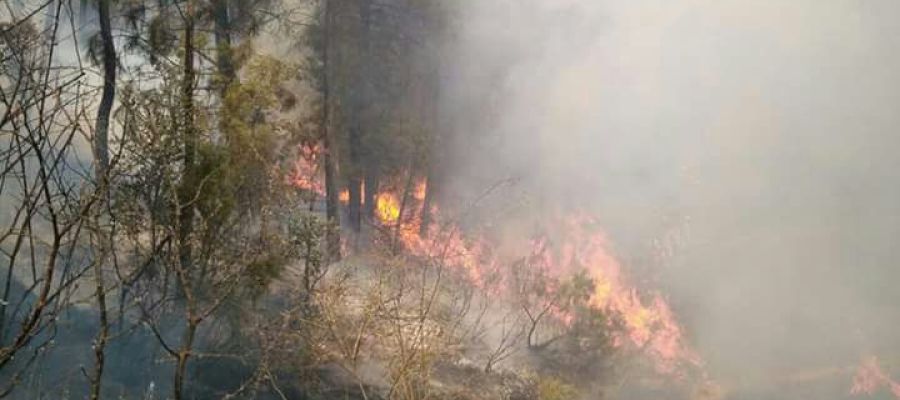 El fuego avanza sin control en Yeste, Albacete El fuego avanza sin control en Yeste, Albacete