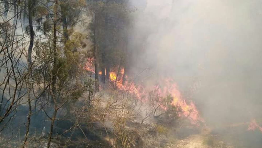 El fuego avanza sin control en Yeste, Albacete
