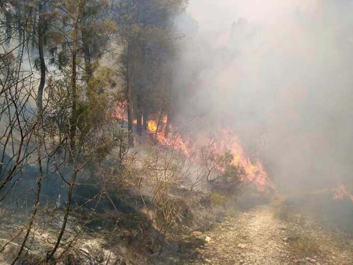 El incendio de Yeste ha quemado 1.260 hectáreas, 700 de un parque natural El incendio de Yeste ha quemado 1.260 hectáreas, 700 de un parque natural