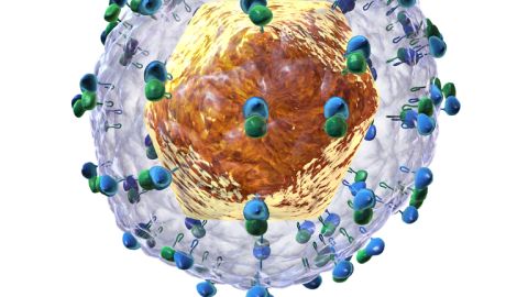Los fármacos contra la hepatitis C son muy caros en países de ingresos medios y altos Los fármacos contra la hepatitis C son muy caros en países de ingresos medios y altos