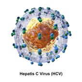 Los fármacos contra la hepatitis C son muy caros en países de ingresos medios y altos