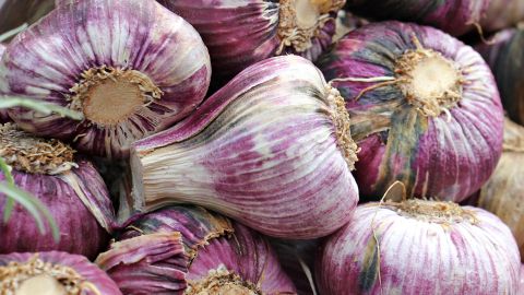 Ajo morado