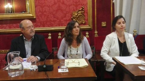 Crisis en Vamos Granada