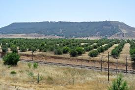 Alcalá de Henares en la onda 27/11/2017 Alcalá de Henares en la onda 27/11/2017