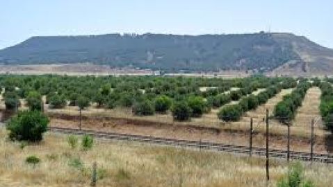 Yacimiento arqueol&oacute;gico