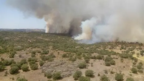 Uno de los focos del incendio de Zamora Uno de los focos del incendio de Zamora